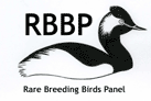 RBBP
